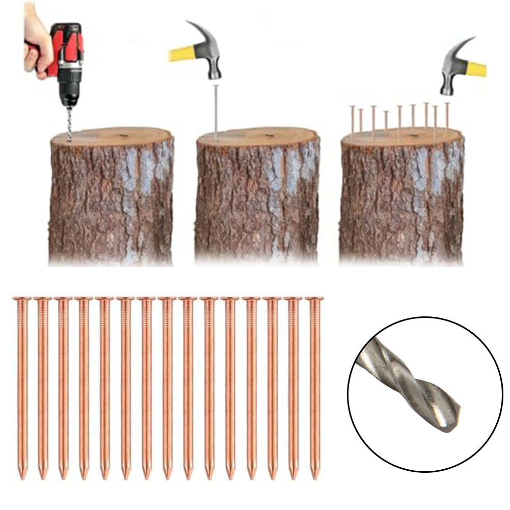Gardening Tools Target - Gwoździe z litej miedzi 2-calowe do