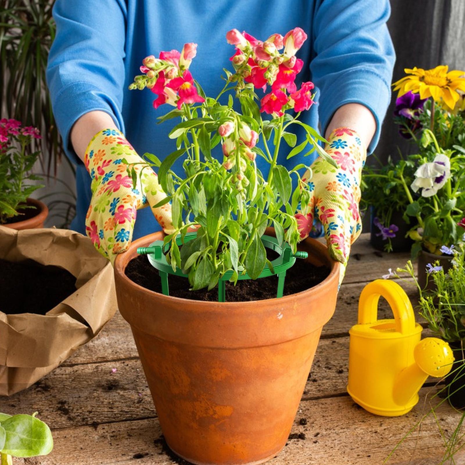 Pierścienie nawadniające rośli – Gardening Tools Target recenzja i cena