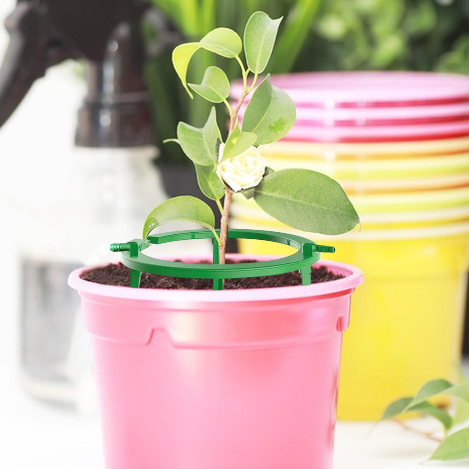 Pierścienie nawadniające rośli – Gardening Tools Target recenzja i cena