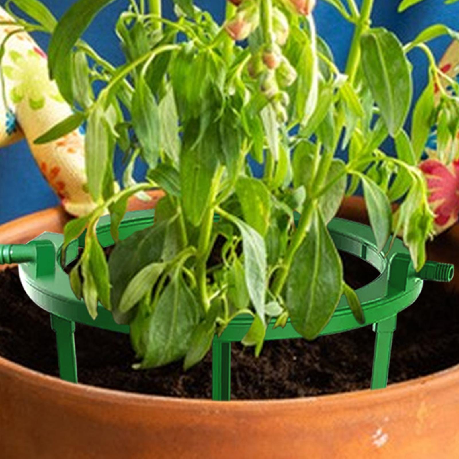 Pierścienie nawadniające rośli – Gardening Tools Target recenzja i cena