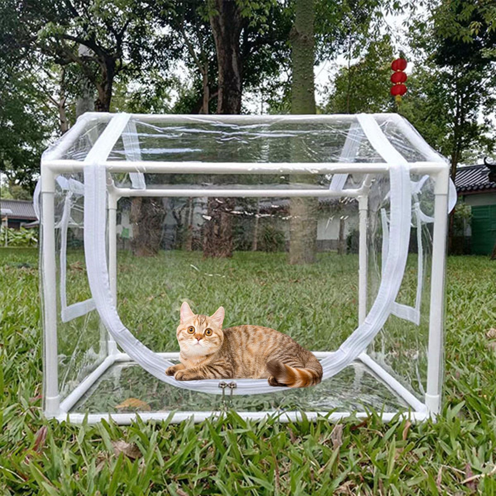 Mała szklarnia z PVC, odporna  – Greenhouse Mini Indoor recenzja i cena