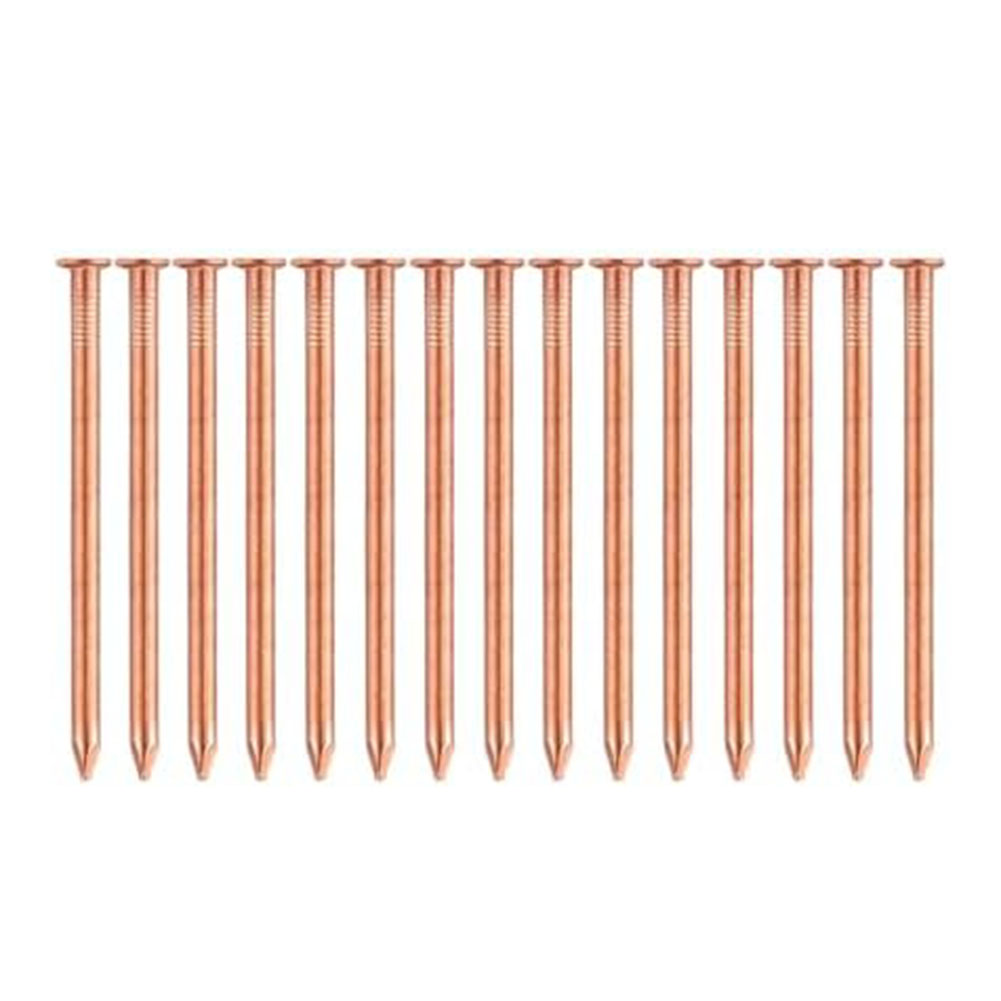 Gwoździe z litej miedzi 2-calo – Gardening Tools Target recenzja i cena